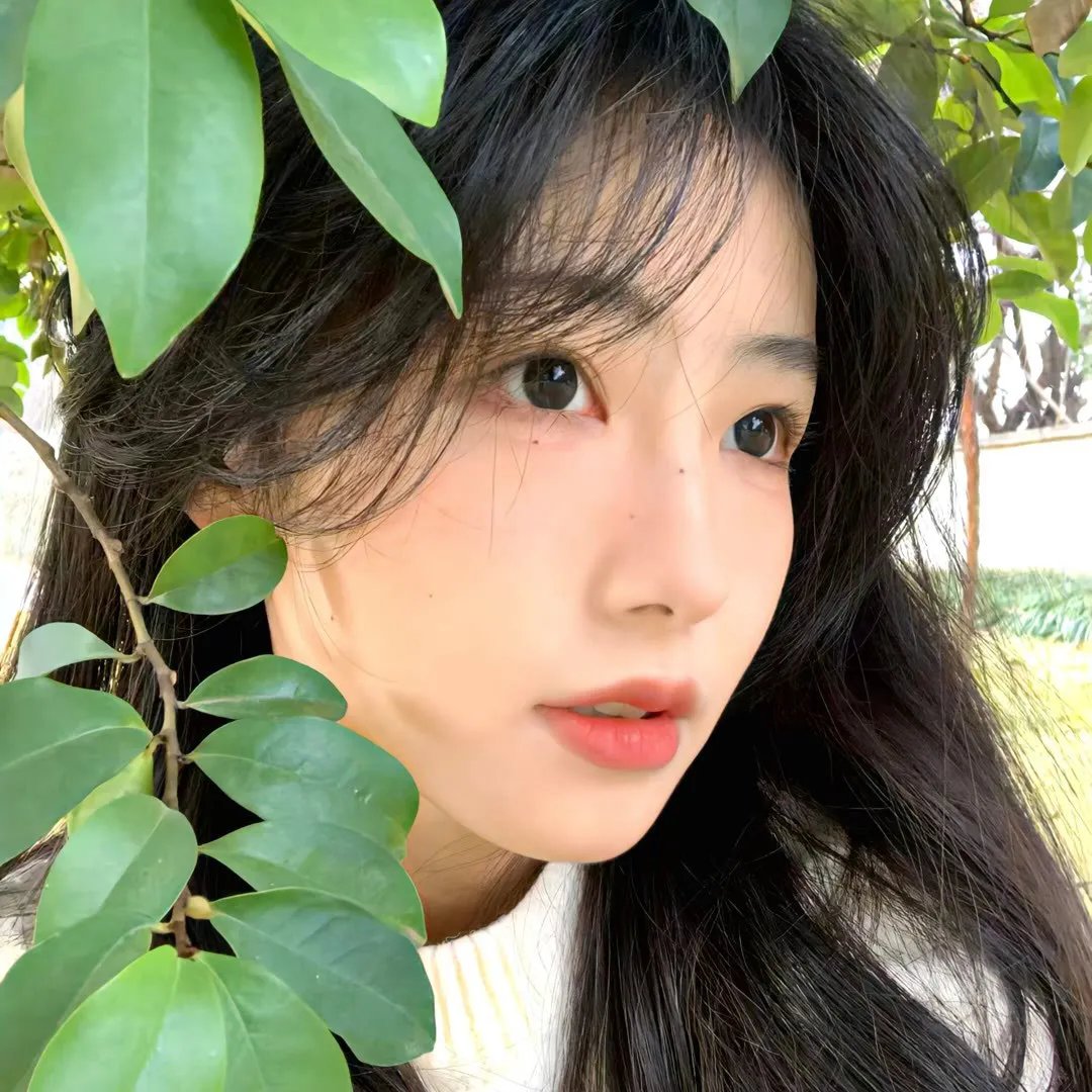 百变大咖秀 第五季